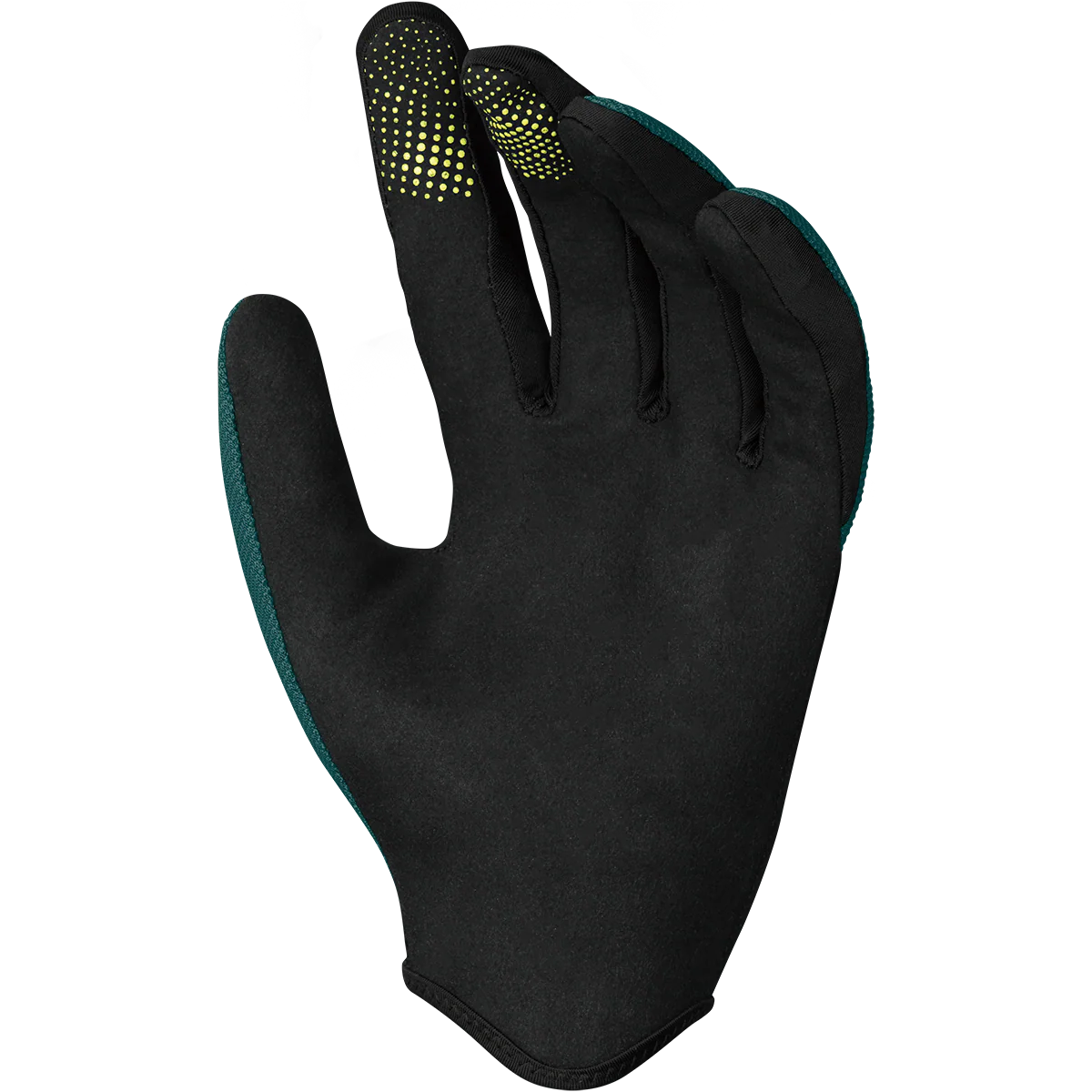 Thumb 3