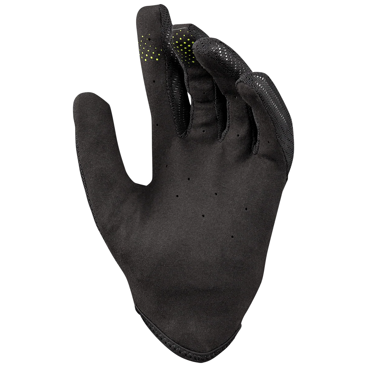 Thumb 3